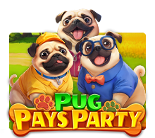 Pug Pays Party