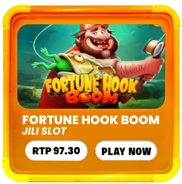 Fortune Hook Boom